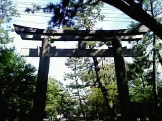 鳥居(2)