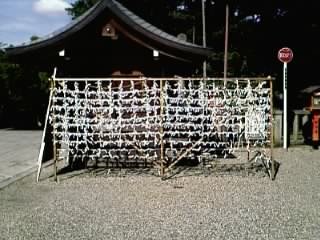 おみくじ結ぼう