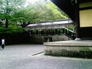 IMAGE_160.jpg